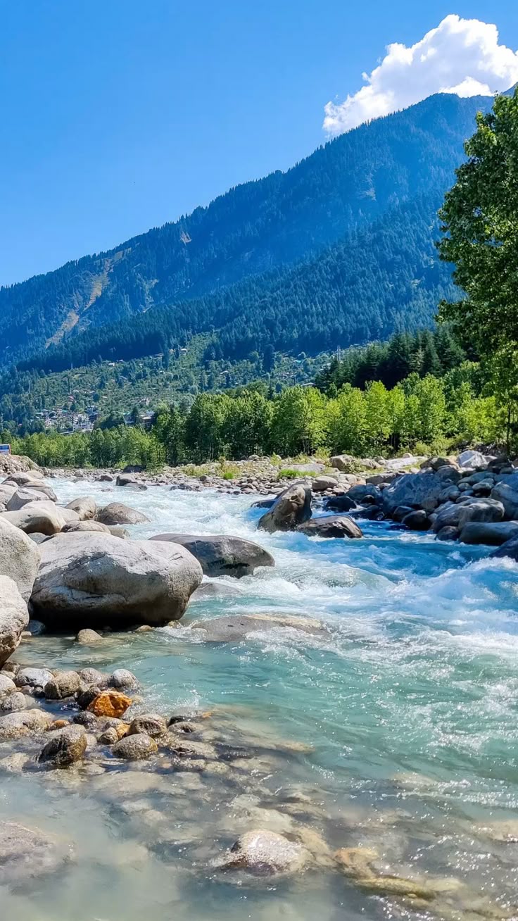 Kashmir